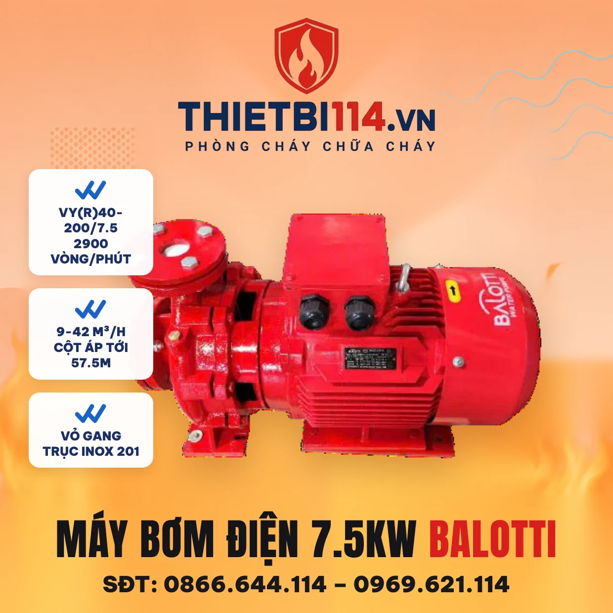 Máy bơm điện 7,5 kW Balotti VY(R)40-200/7.5