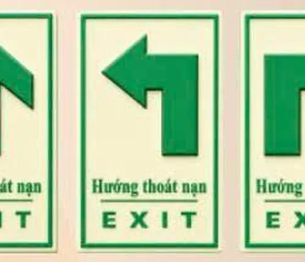 Biển Exit dạ quang nền xanh 30x48cm – ảnh thực tế sản phẩm