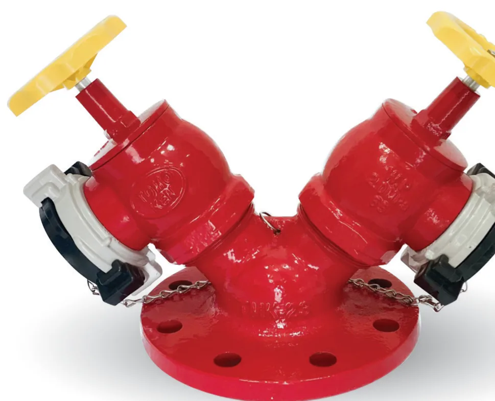 Đầu trụ chữa cháy 2 cửa TMK-23 - Tomoken có kiểm định/lưu thông Đầu trụ chữa cháy 2 cửa TMK-23 – ảnh chính hãng Tomoken