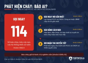 Sơ đồ báo cháy theo Điều 6 Luật 55/2024: gọi 114, báo lực lượng PCCC, Công an hoặc UBND cấp xã gần nhất, nơi nhận tin báo ngay Cảnh sát PCCC và CNCH